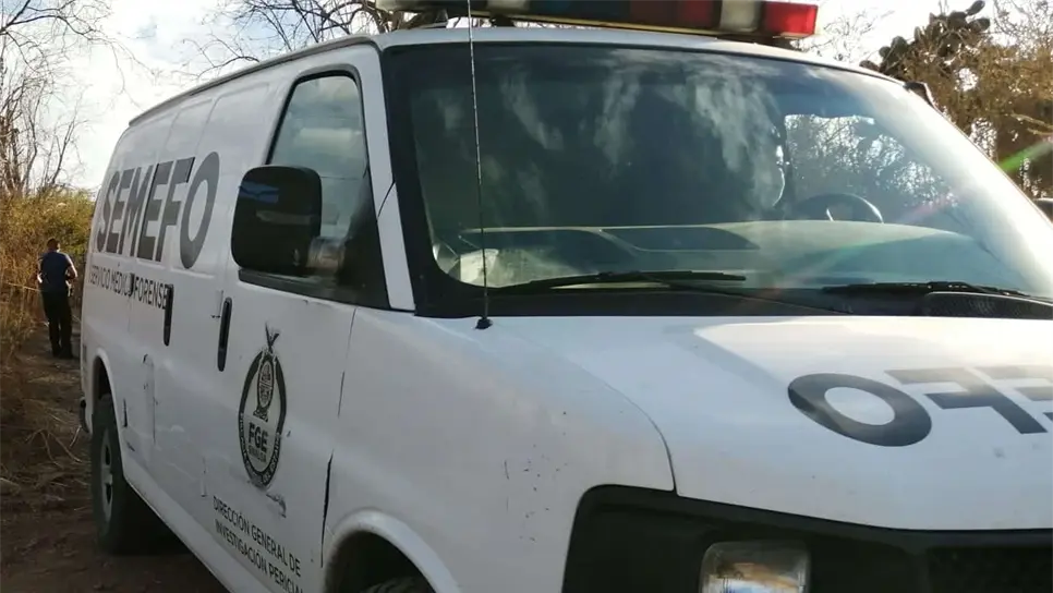 FOTO: Luz Noticias | Temática.