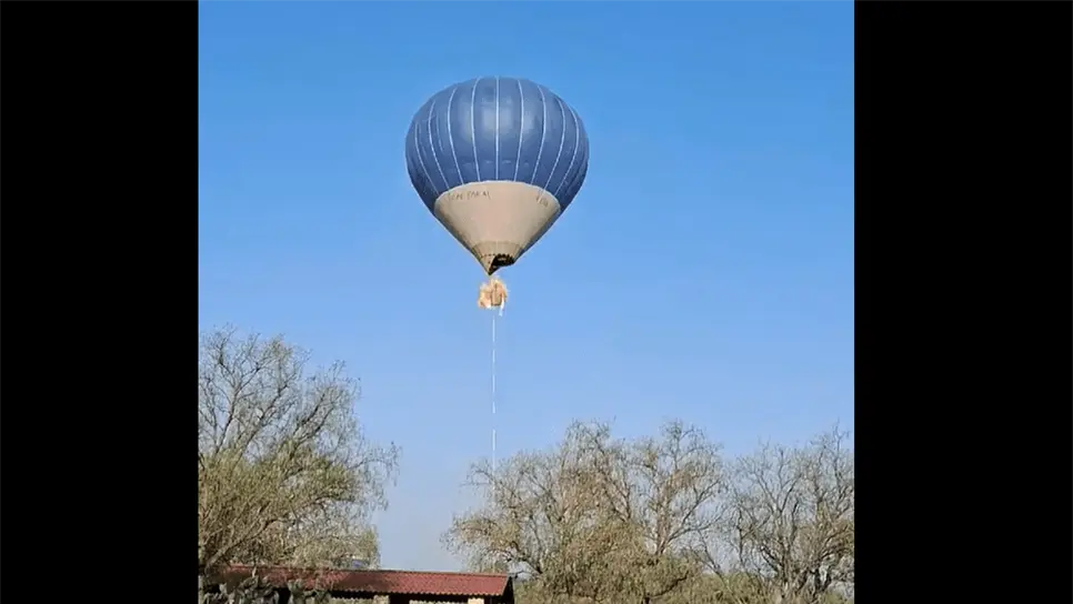 FOTO: Captura de video.