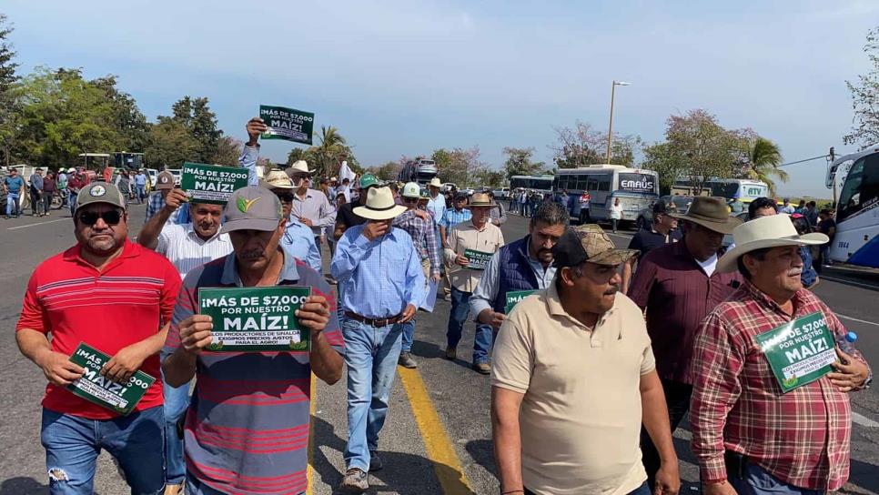 No está resuelta la comercialización para maíz y trigo de Sinaloa: Caades