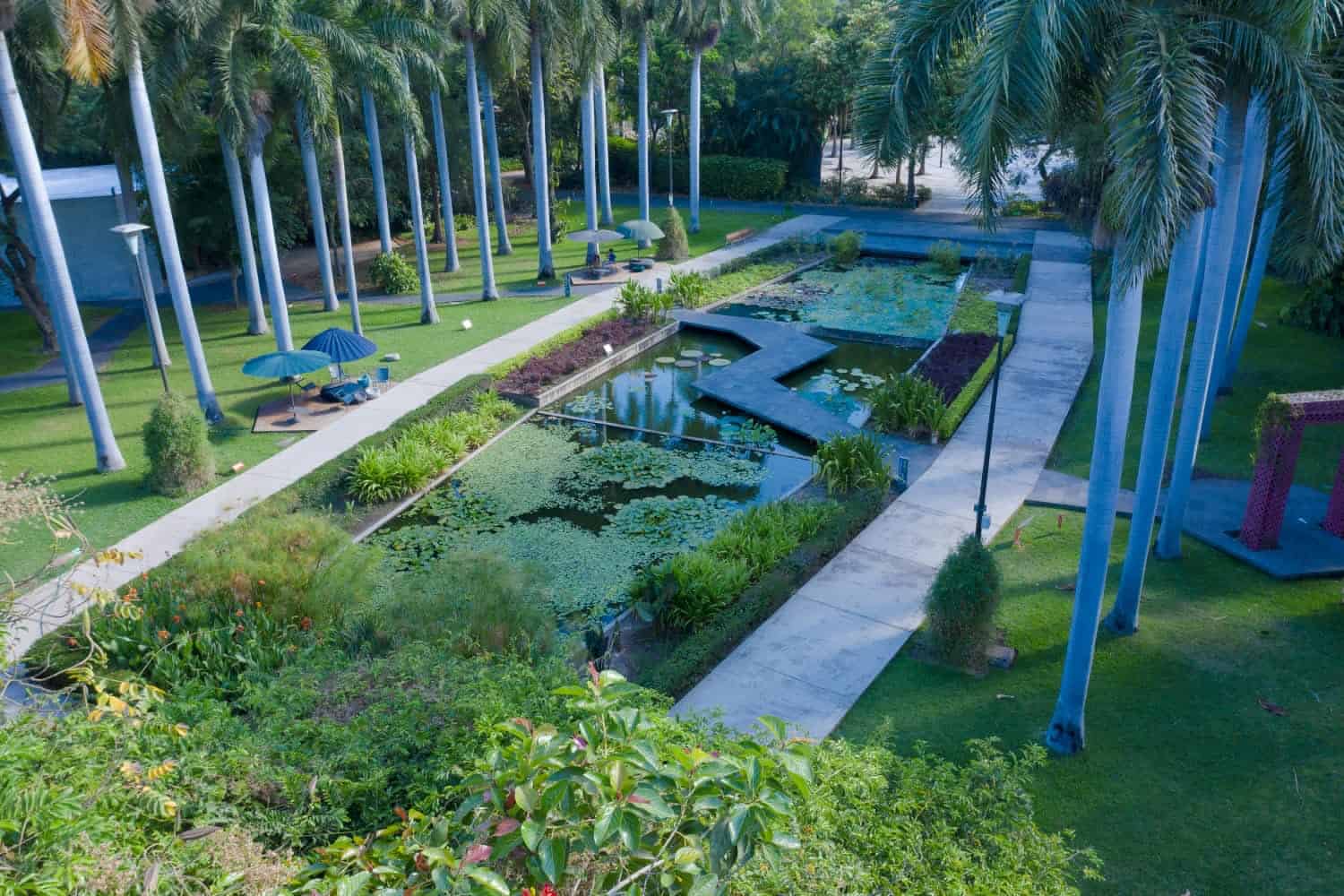 El jardín botánico de Culiacán es uno de los más visitados en el país. FOTO: Luz Noticias