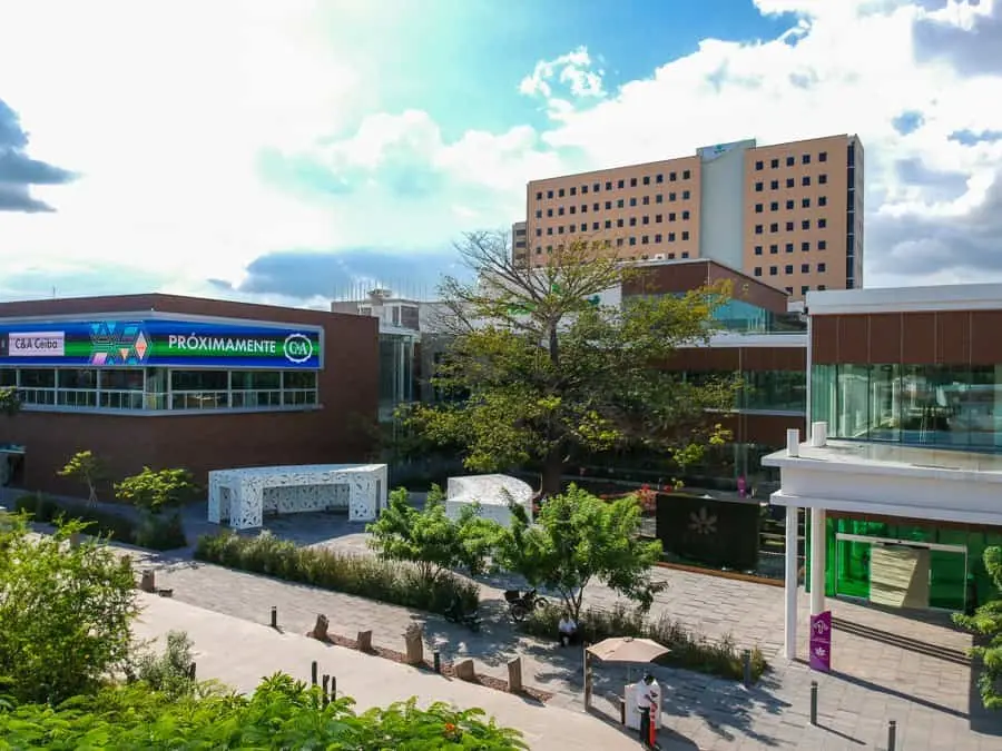 Ceiba Culiacán, a un costado de Costco. FOTO: Luz Noticias