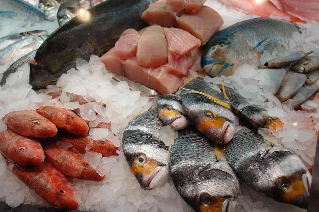 FOTO: Esthela García.