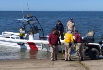 Buscan alejar mantarrayas de orilla de El Maviri; suman 10 personas picadas