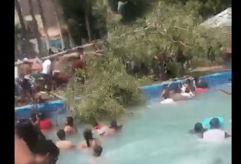 Cae árbol y mata a un bebé, en balneario de Guanajuato; reportan varios heridos | VIDEO