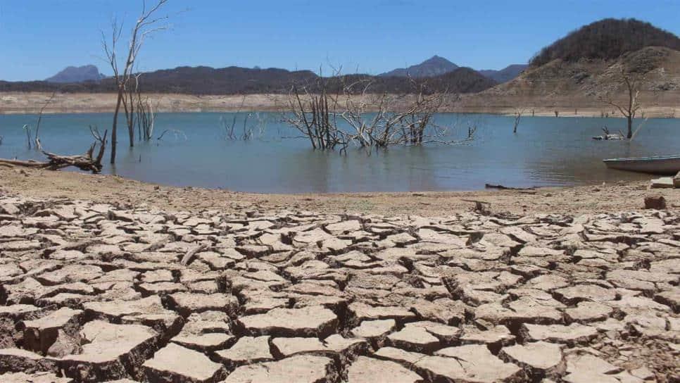 Sequía golpea a más de 20 comunidades de Culiacán, en Sinaloa a más de 200