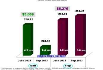 Maíz se sigue cotizando con base de 61 dólares