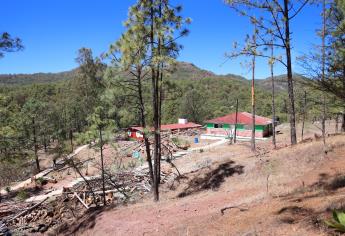 Incendio forestal en Concordia está controlado: Sebides