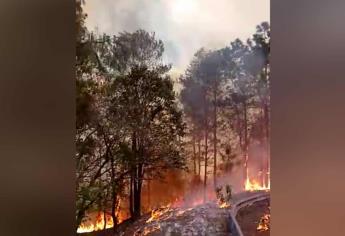 Clima complica acabar con incendio en Concordia; 200 elementos intentan sofocarlo