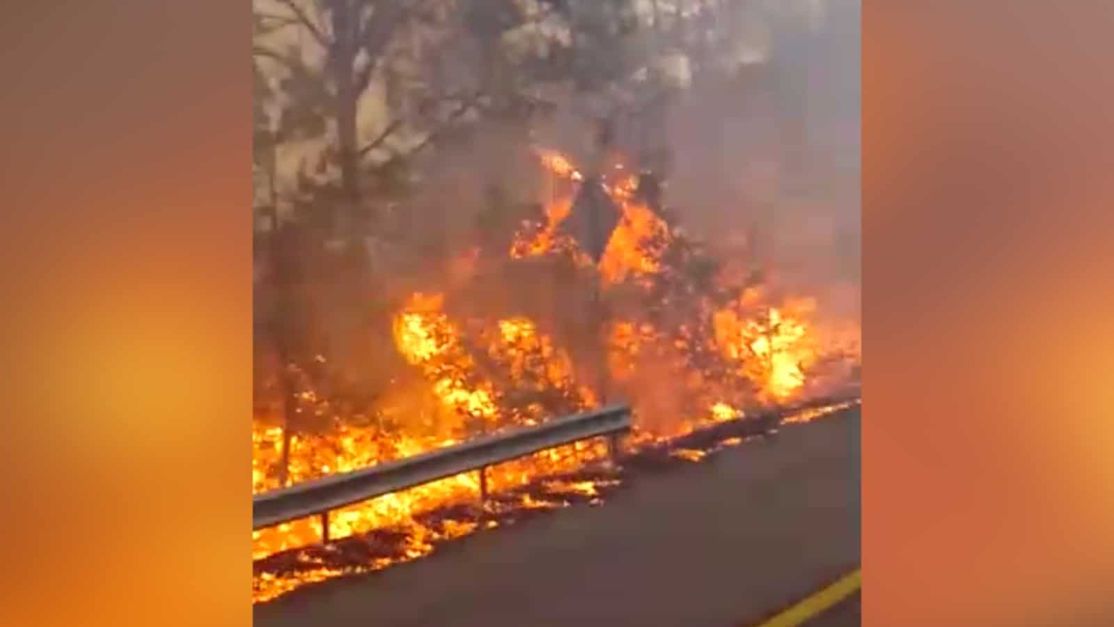 Incendio forestal arrasa con la Sierra de Concordia. | FOTO: Captura de video.