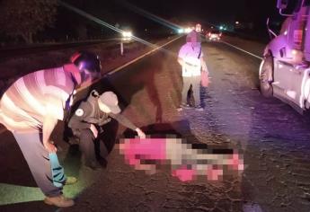 Tráiler embiste a motociclista en la México 15, en Ahome, y huye