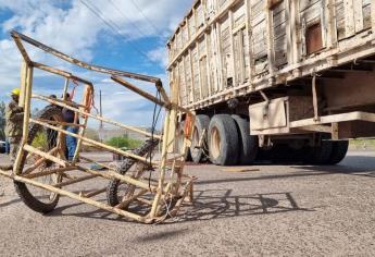 Tráiler atropella y mata a una abuelita que vendía pan en un triciclo en el ejido Mochis