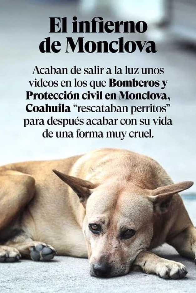 Imagen Placeholder