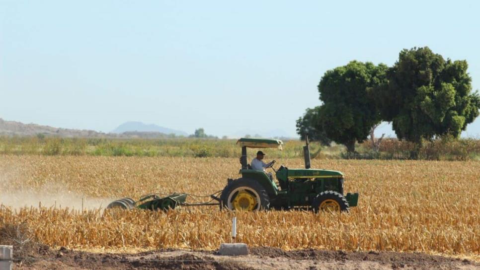 Posponen para fin de mes asignación de agua para agricultura de Sinaloa