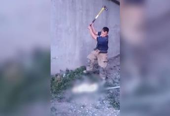 Indigna matanza de perros por parte de Bomberos de Monclova, Coahuila