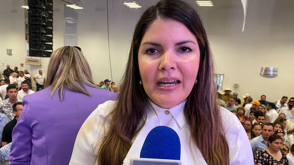Morena Sinaloa elegirá candidatos tras el anuncio del candidato a la Presidencia