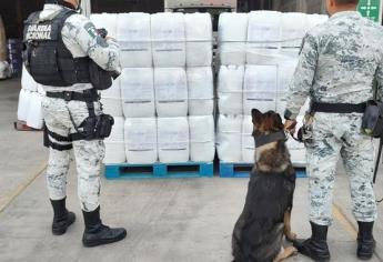 En Sinaloa,  la Guardia Nacional asegura bidones con aproximadamente 800 litros de aparente metanfetamina líquida