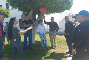 Envenenan a mascotas en colonia Paseo de las Aves de Los Mochis