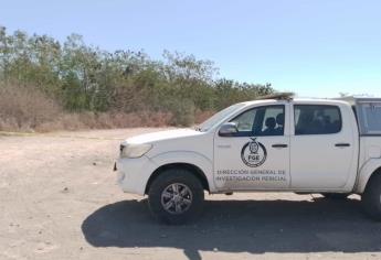 Un jardinero perdió la vida al caer de una palmera de Recoveco de Pericos Mocorito