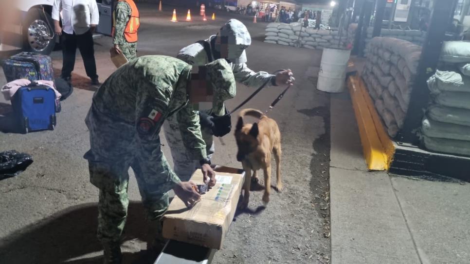 Militares aseguran 2 kilos de goma de opio ocultos en rodillos de madera para hacer tortillas de harina, en El Desengaño