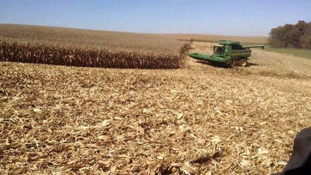 Imagen Placeholder Imagen Placeholder