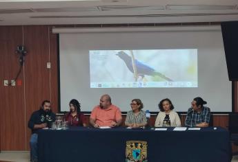 City Natural Challenge busca nuevas especies y fortalecer la ciencia en Mazatlán