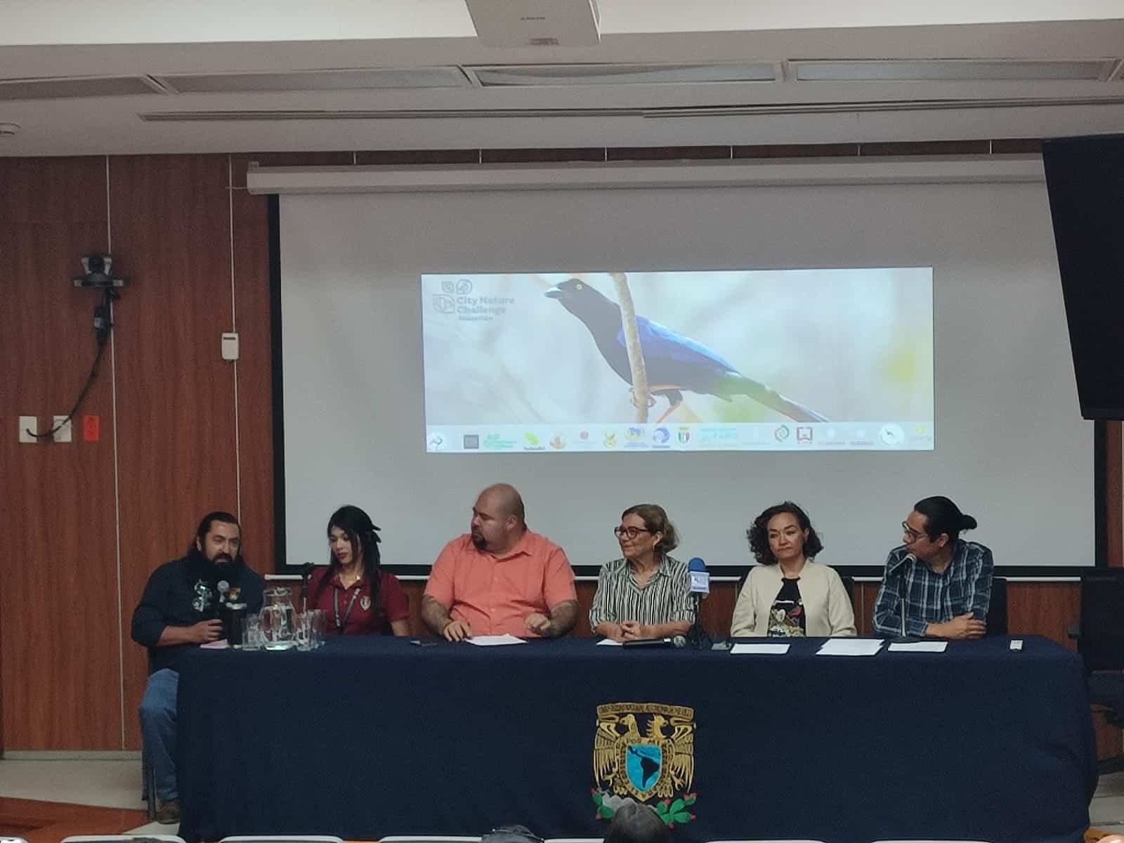 City Natural Challenge busca nuevas especies y fortalecer la ciencia en Mazatlán. | FOTO: Hugo Rodríguez.