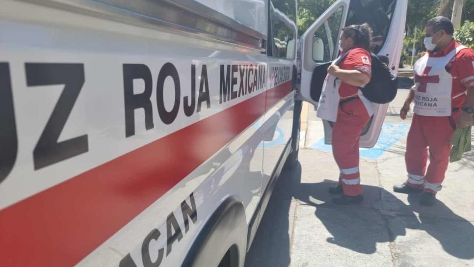 Ataque de abejas deja 15 personas heridas en Costa Rica