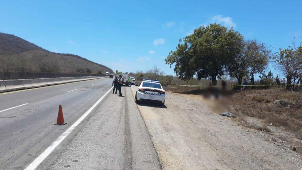 Sin vida, torturado y con «carritos» encima de él, así localizan a hombre en Elota