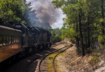 ¿El Chepe o El Sinaloense?: estas son todas las rutas de trenes existentes en 2023