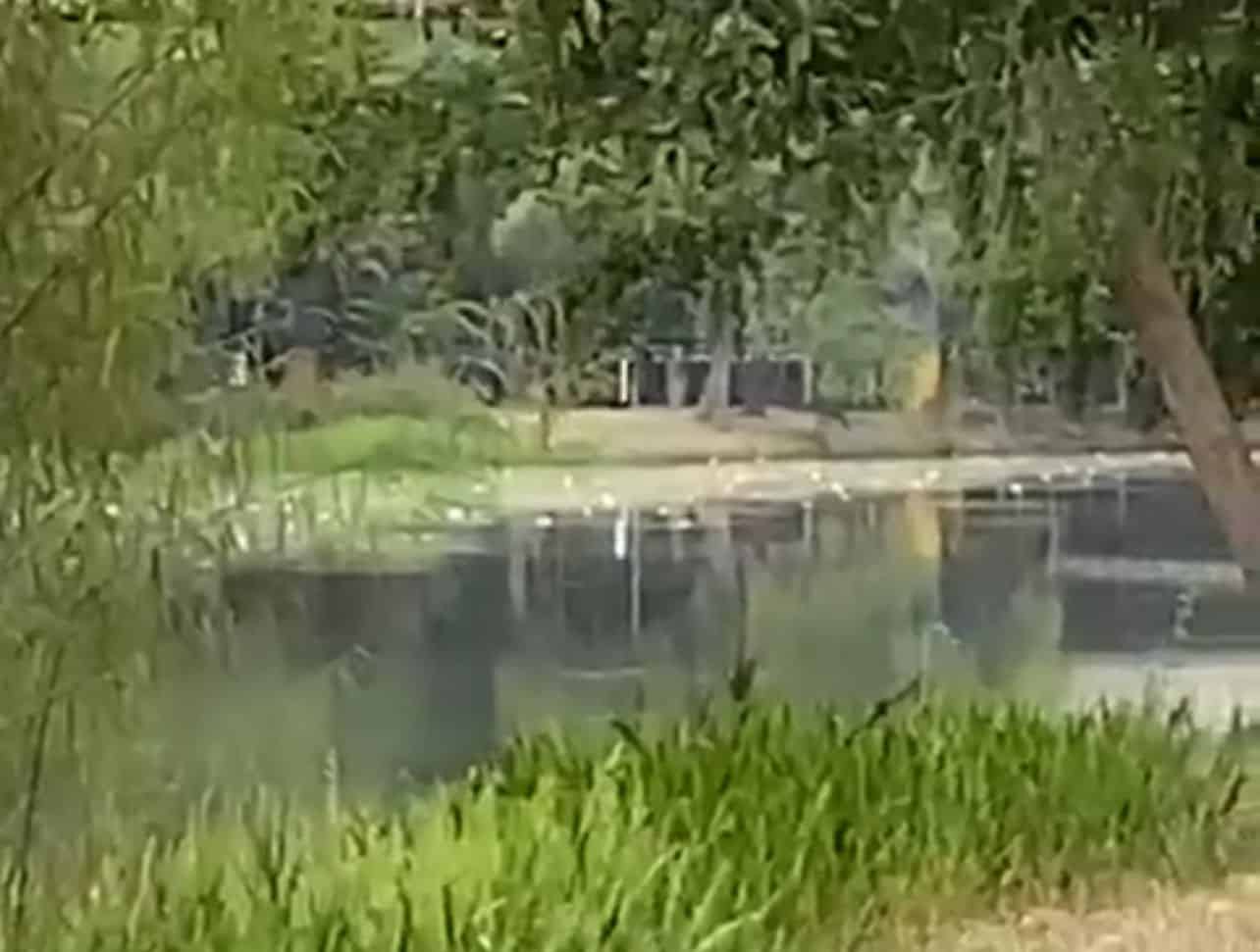 Denuncian contaminación del río Tamazula en Culiacán