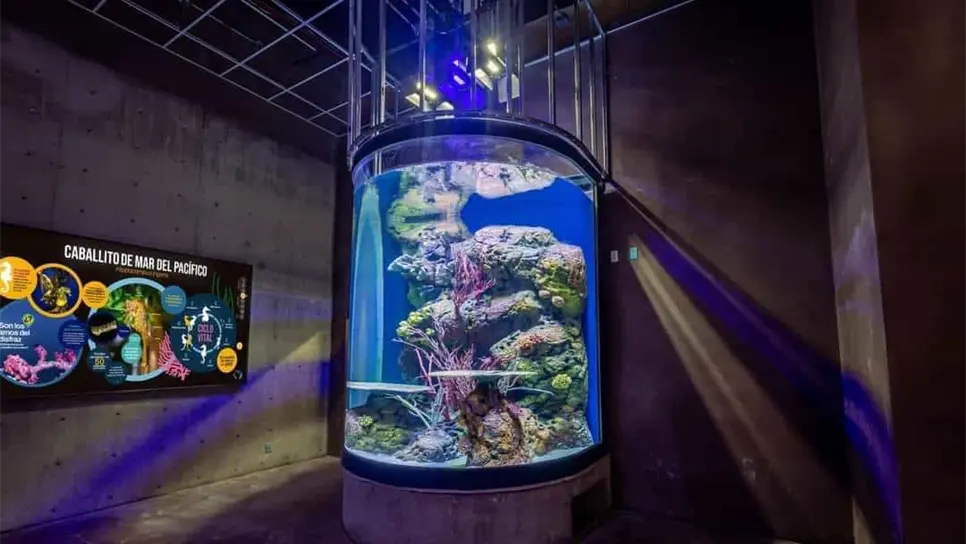 FOTO: Archivo/LuzNoticias.