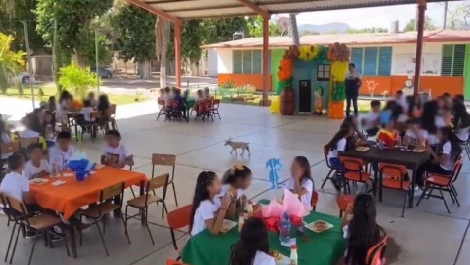 No habrá sanciones por poner a Peso Pluma en las escuelas el Día del Niño: SEPyC