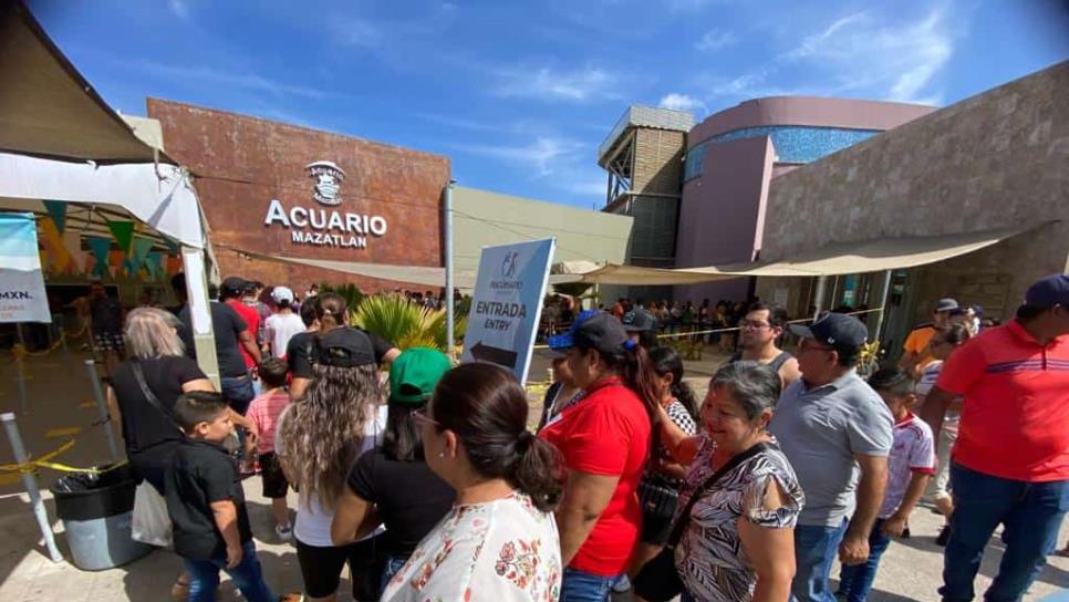 Más de 12 mil personas visitaron por última vez Acuario Mazatlán este fin de semana 