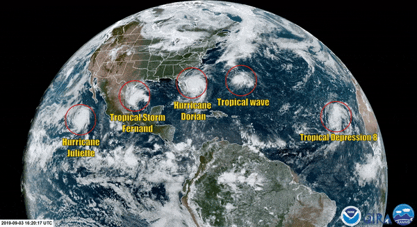 Imagen Placeholder Imagen Placeholder