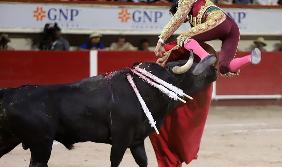 El torero Joselito Adame grave por cornada: | VIDEO