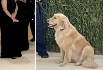 Jared Leto le da tremendo susto a un perrito por vestirse de gato en la Met Gala 2023 | VIDEO 
