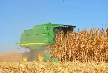 Se activan registros de apoyo estatal a trigueros; “el 5 de diciembre debe estar pagado todo”