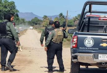 En descomposición y comido por animales carroñeros, encuentran a un hombre en unas huertas de mango