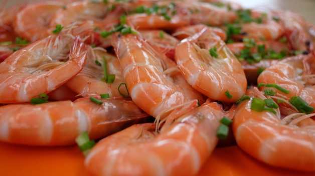 Imagen Placeholder Imagen Placeholder