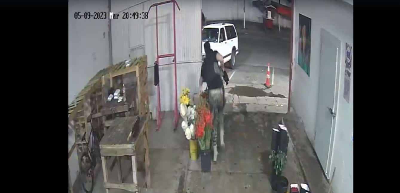 Balacera en florería de Los Mochis: ¿Por qué salen corriendo los sicarios? | VIDEO