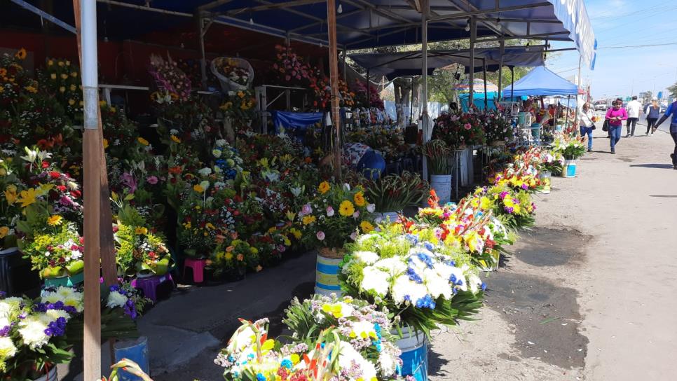 Aumenta 50 % el precio de la flor en Mazatlán este Día de las Madres