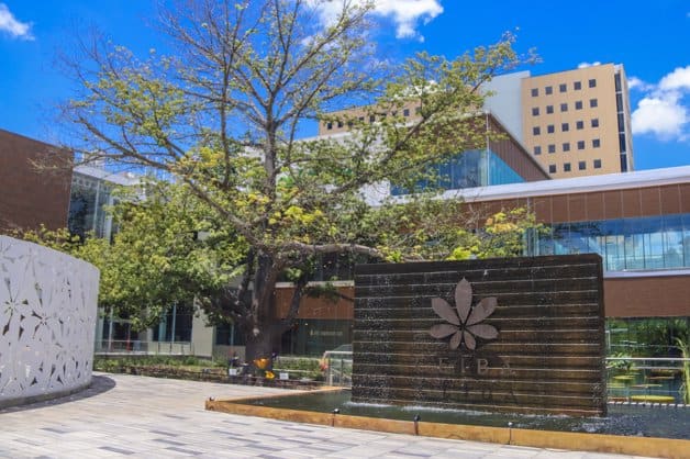 Imagen Placeholder Imagen Placeholder