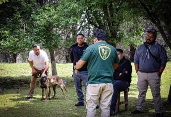 La ciencia detrás del adiestramiento canino