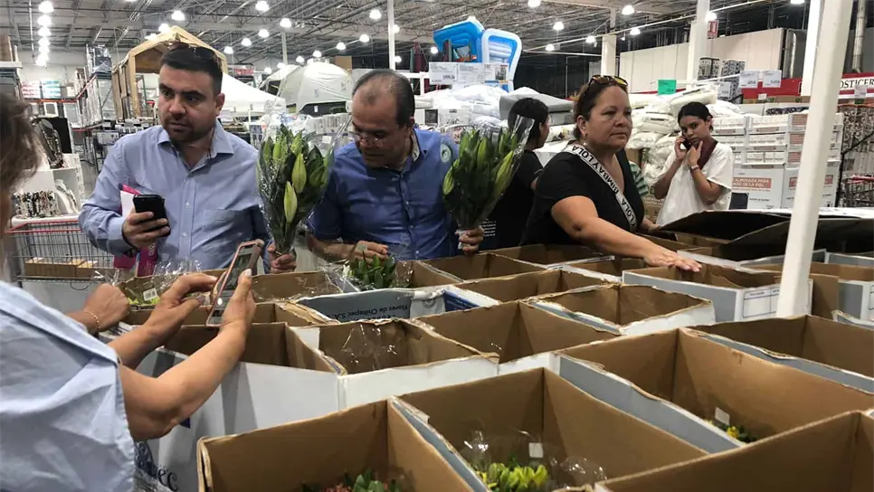 Los arreglos se vendieron rápidamente. FOTO: Luz Noticias