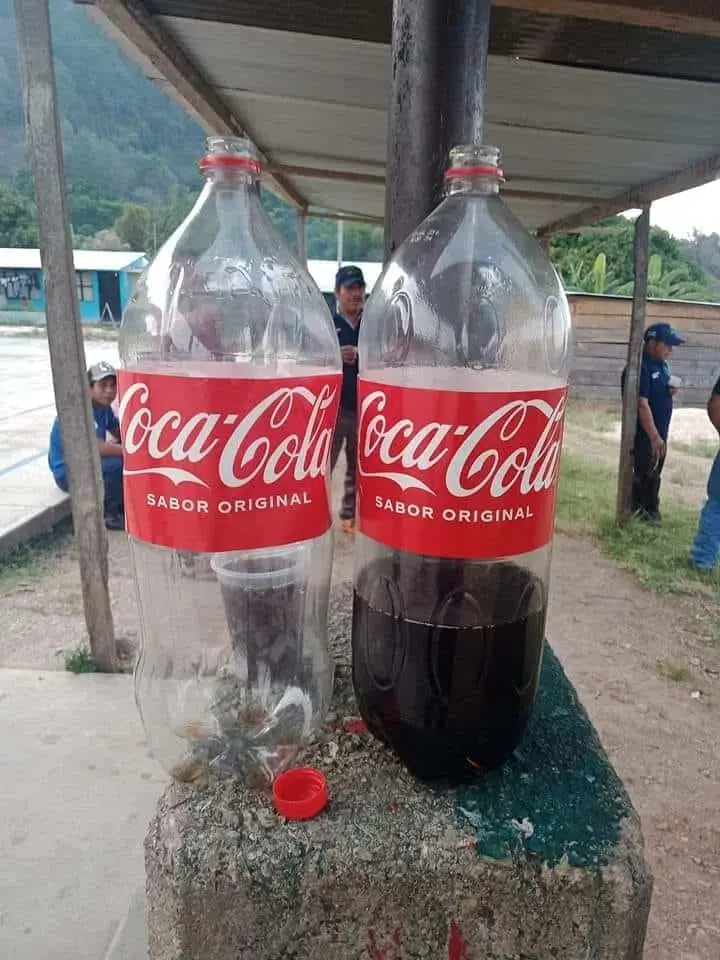 Encuentran Coca Cola pirata: «Sabe más dulce, menos gaseosa», denuncian. | FOTO: Redes.