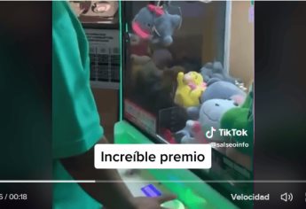 TikTok: usuario juega en máquina de peluches y se gana un gato de verdad