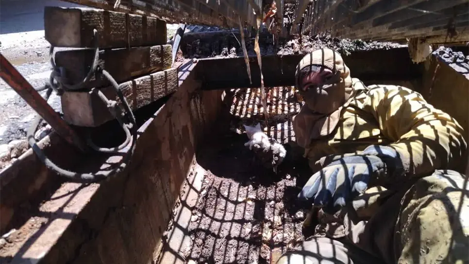 Rescatan a gatito que cayó a un desagüe en Mazatlán