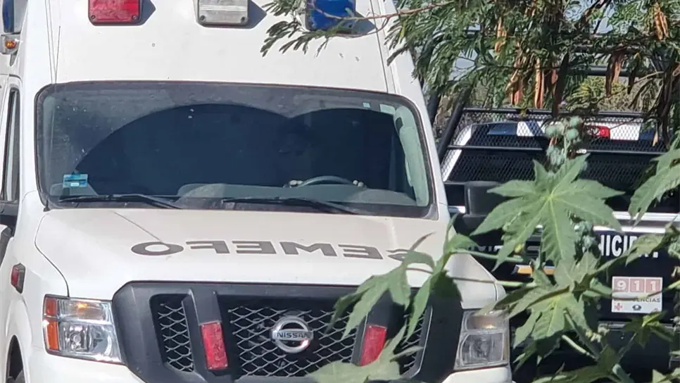 FOTO: Temática | Luz Noticias.