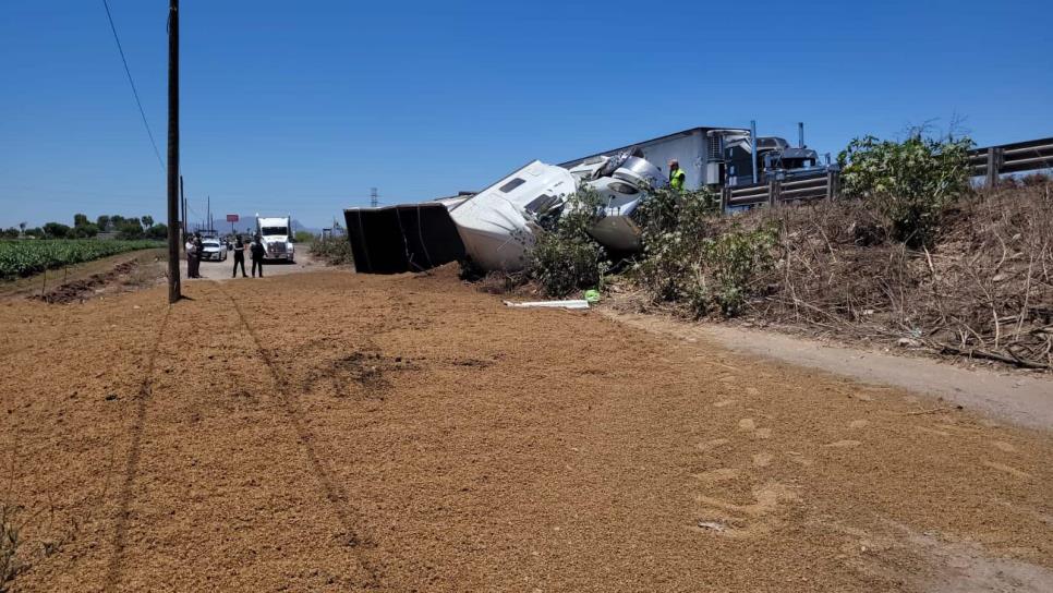 Vuelca tráiler cargado de alimentos por la México 15 en Los Mochis 