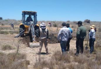 Localizan huesos en El Ranchito, Culiacán; analizan si son humanos